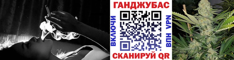 Конопля гибрид  Сенгилей 